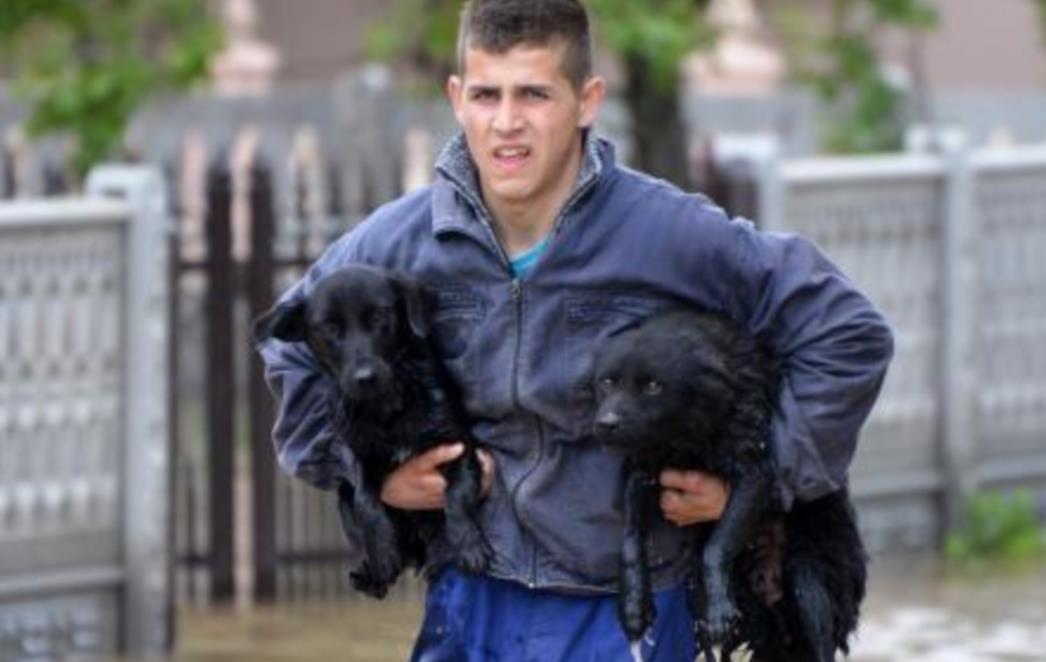 Upoznajte mladog heroja koji je spasio pse iz poplave: Kad sam ih vidio zaplakao sam i zgrabio ih!