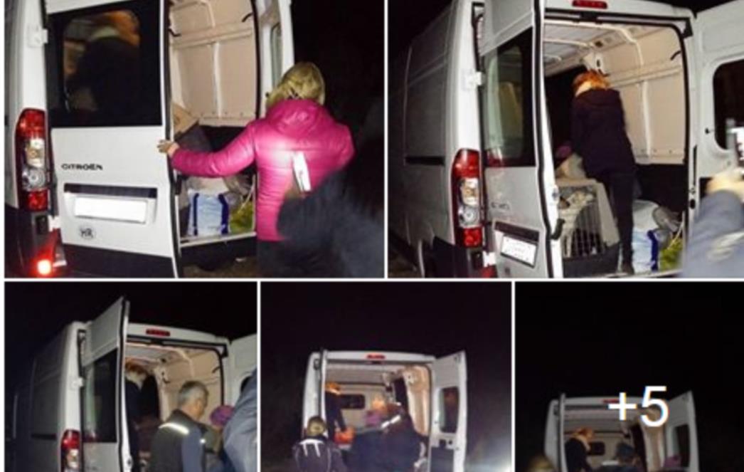 EKSPLOZIJA KOMENTARA NA DRUŠTVENIM MREŽAMA! Dubrovčani ogorčeni odvođenjem pasa: Srami se gradonačelniče!