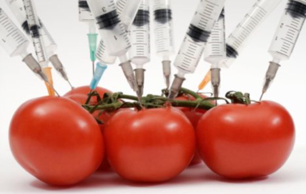 Posljedice GMO-a? Tekstilna industrija mijenja konfekcijske brojeve zbog sve veće djece!