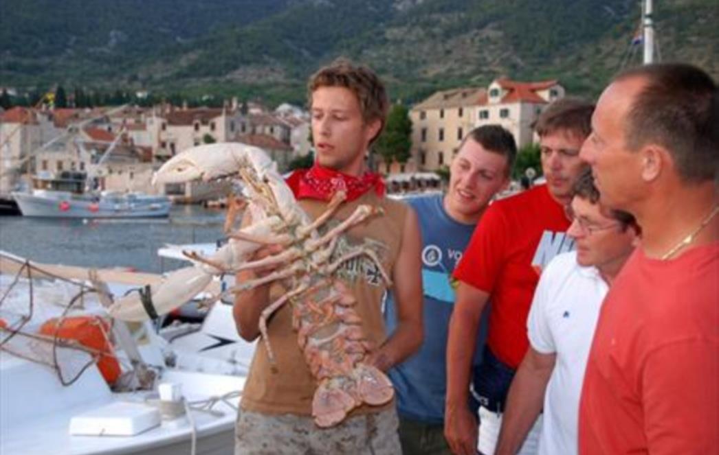 NEOBIČAN ULOV U mrežu uhvatili hlapa kapitalca od 7,10 kg