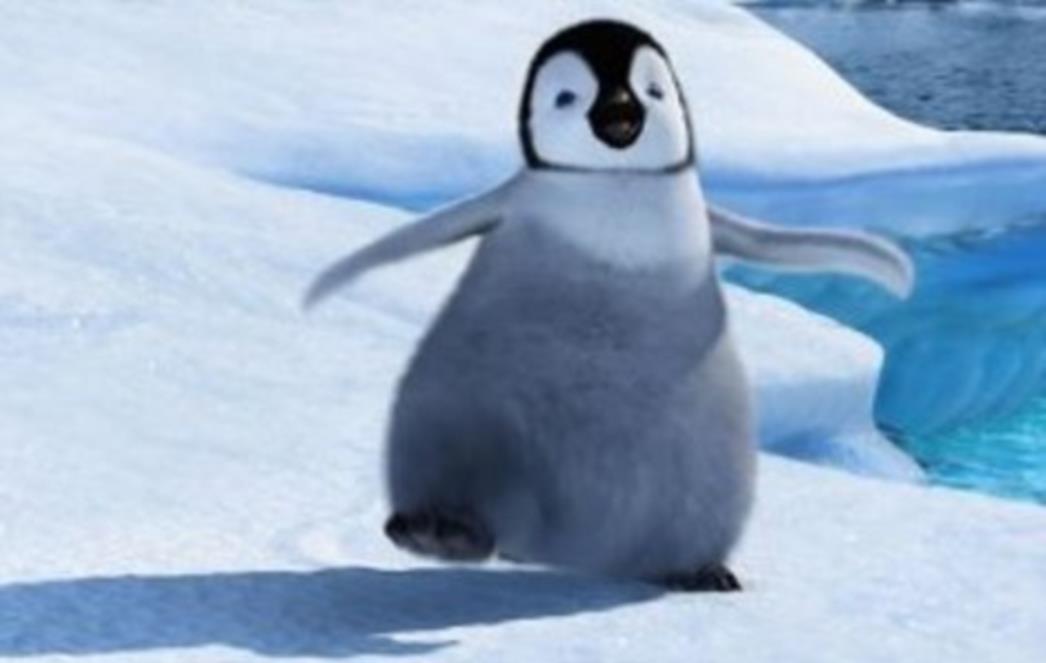   Zagrlio je pingvin!