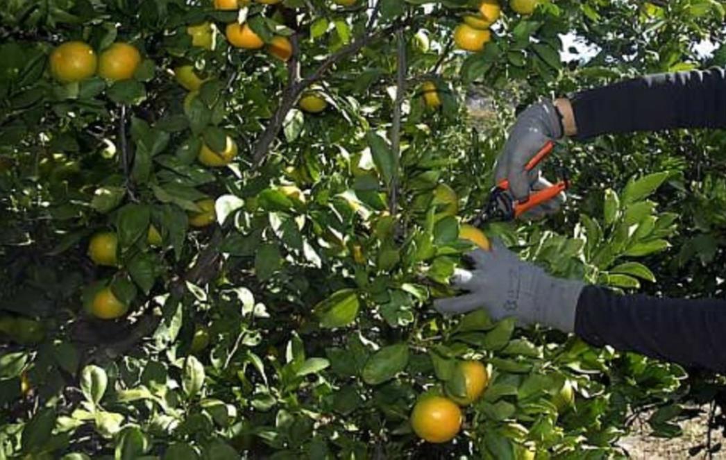 Stručnjaci upozorili: Dolina Neretve će postati pustinja