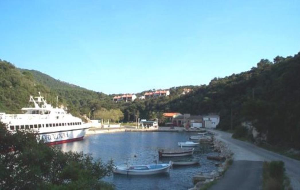 Pismo djevojčice s Lastova oduševilo mnoge!