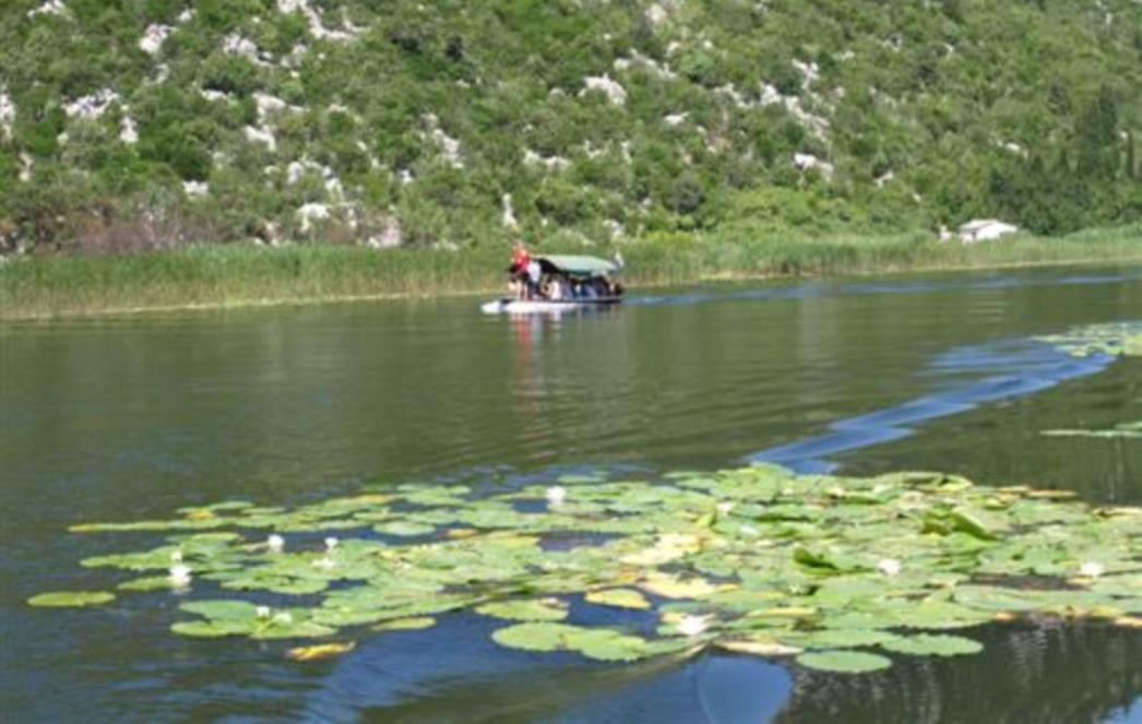  Vlada Federacije BIH protiv Gornjih horizonata