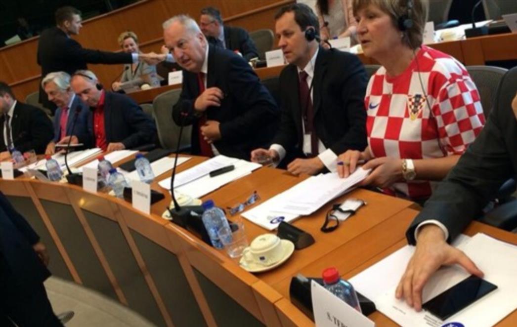 HRVATSKA RUŽA U HRVATSKOM DRESU: Tomašić u Europskom parlamentu navija za Vatrene