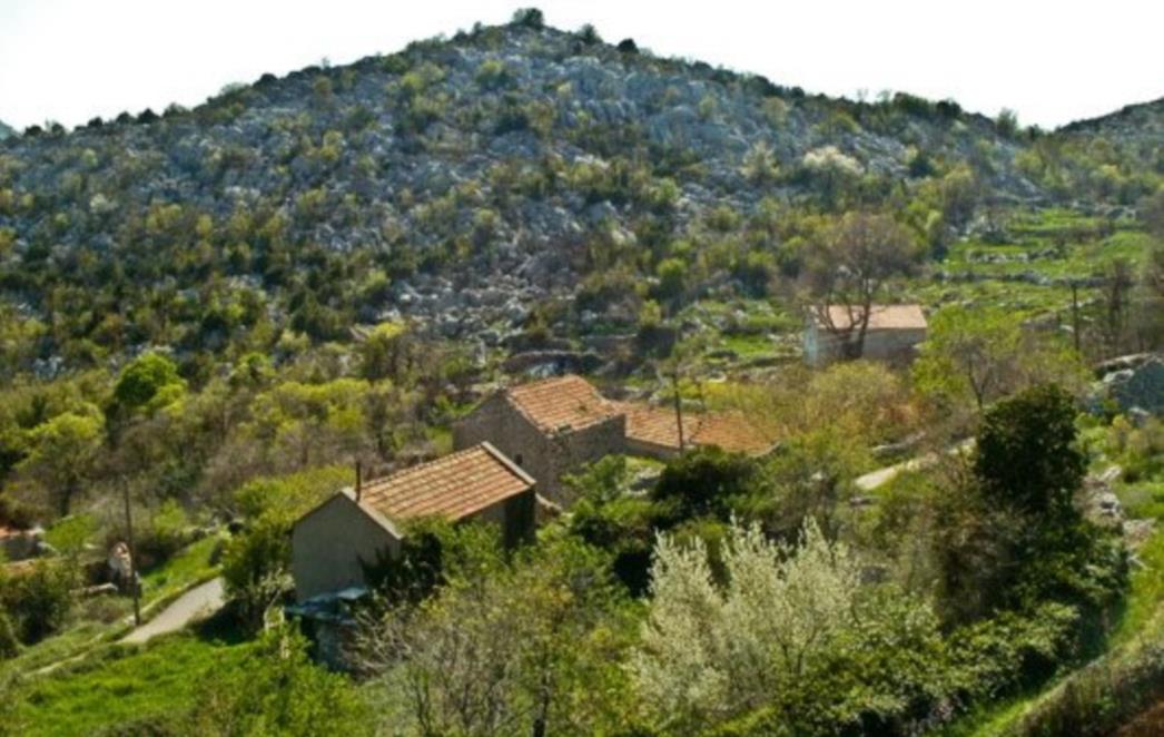Priča s juga Hercegovine: KOTEZI Postojbina čuvenih kamenoklesara