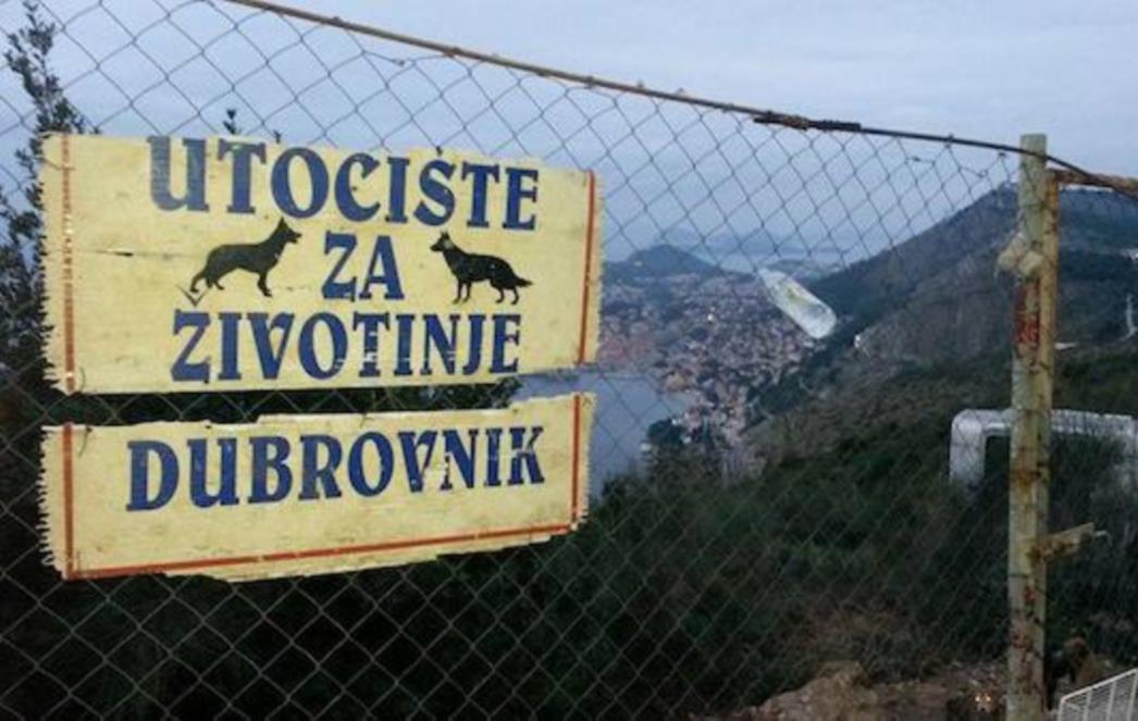 PISMO JEDNOG DUBROVČANINA: Vlahušiću sram vas bilo, od Grada ste napravili 'Medograd' gdje je profit Bog!