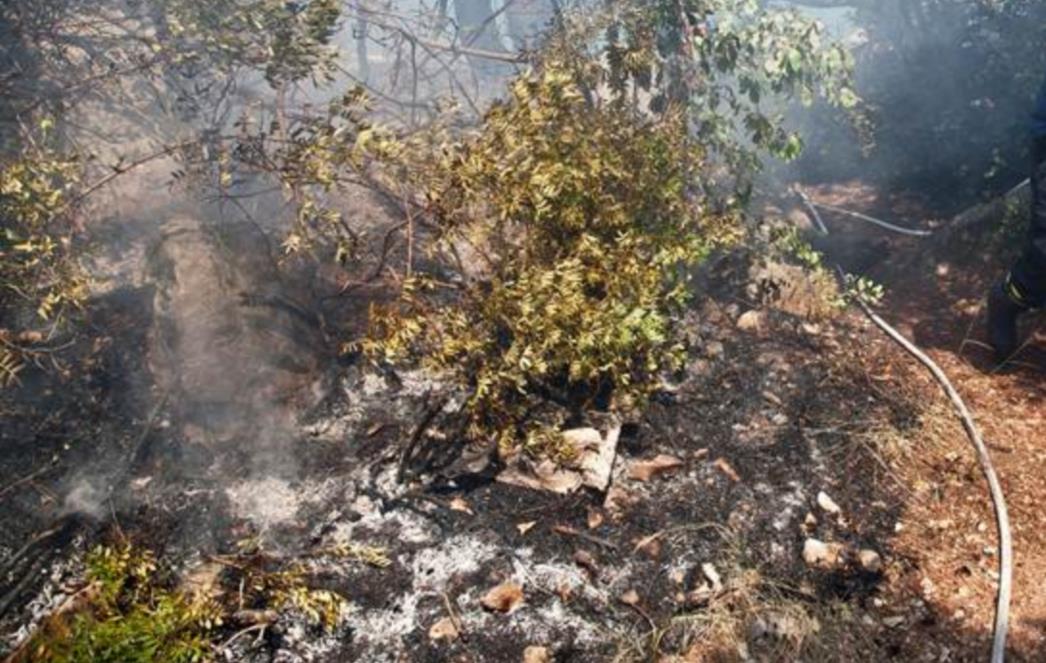 Ugašen požar između Gromače i Kliševa