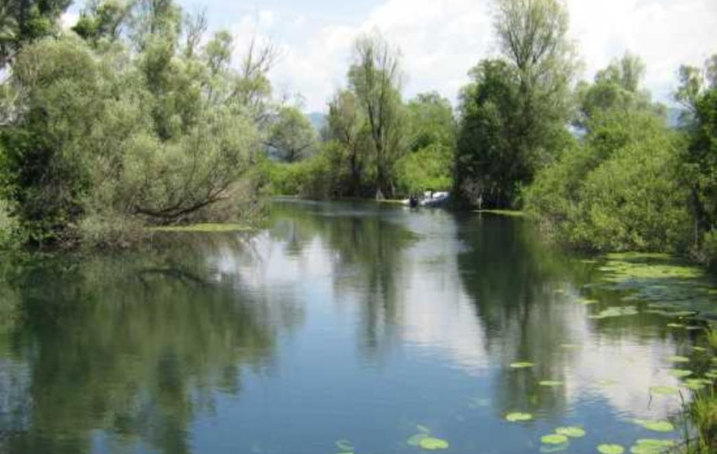 U Hutovom Blatu pronađeno pet plantaža marihuane