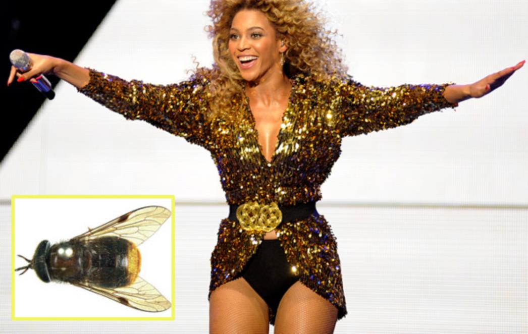 Beyoncin povratak na pozornicu: Blue Ivy me prizemljila i učinila sličnijom vama (VIDEO)