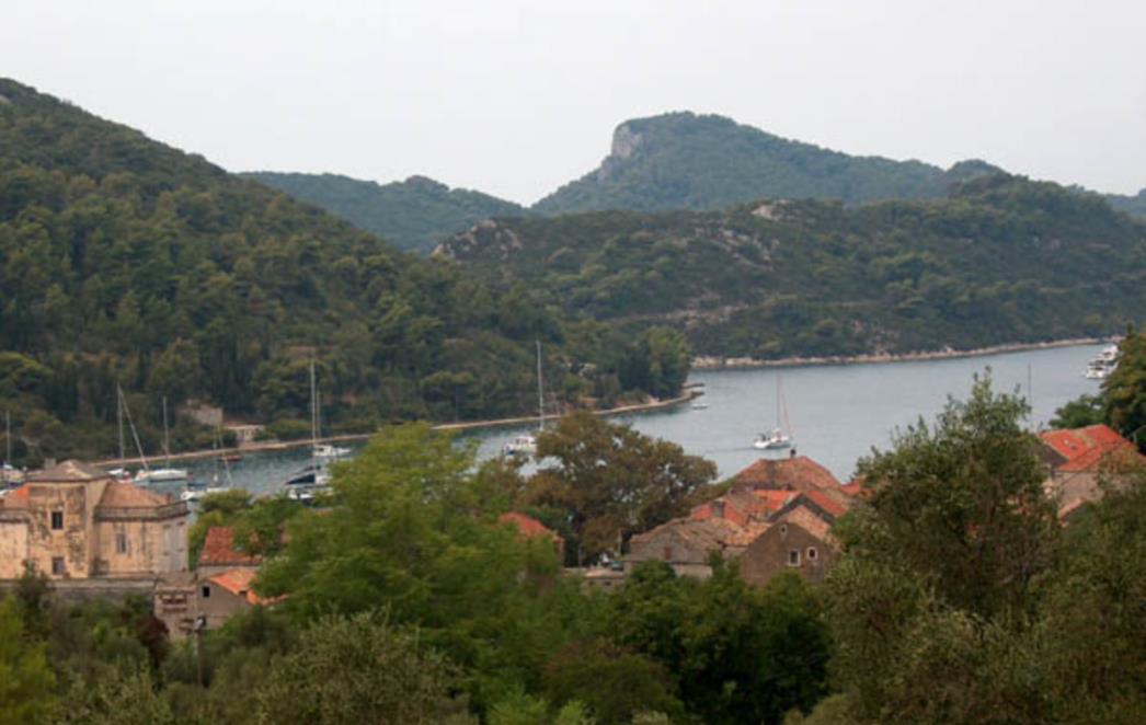 EKO APEL Zaustavite devastaciju zlatnog Šipana