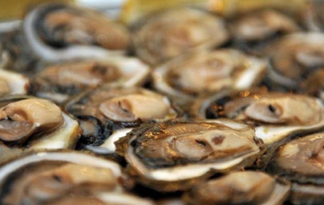 Stonskim kamenicama, češnjakom i suncokretom protiv opake epidemije