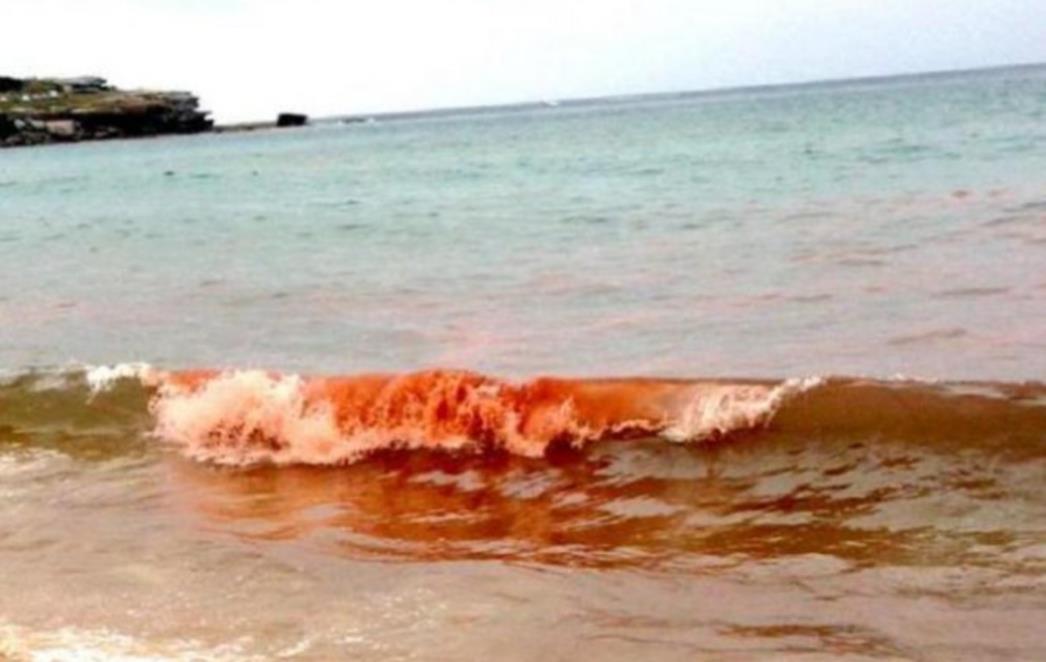 PRIJE 25 GODINA DOGODILA SE TRAGEDIJA Mlade kupače na biogradskoj plaži pobili zvončići