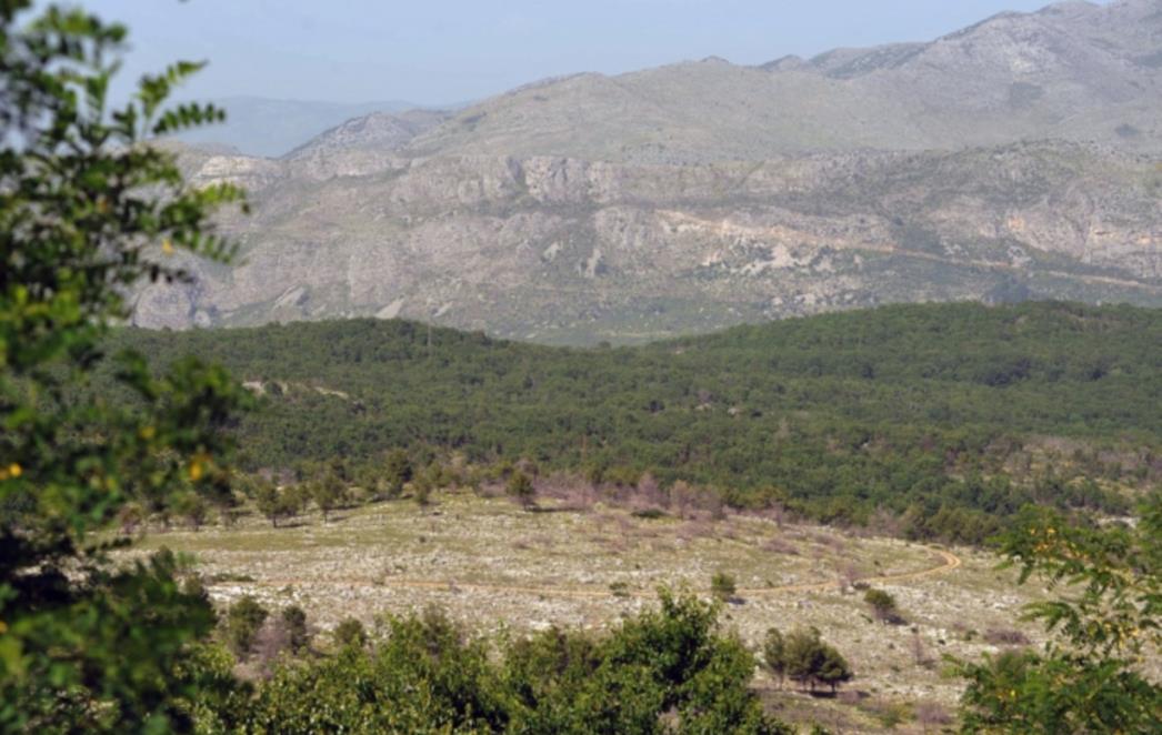 Udruga Bosanka:  Sagradite nam privremene skale da možemo do Grada