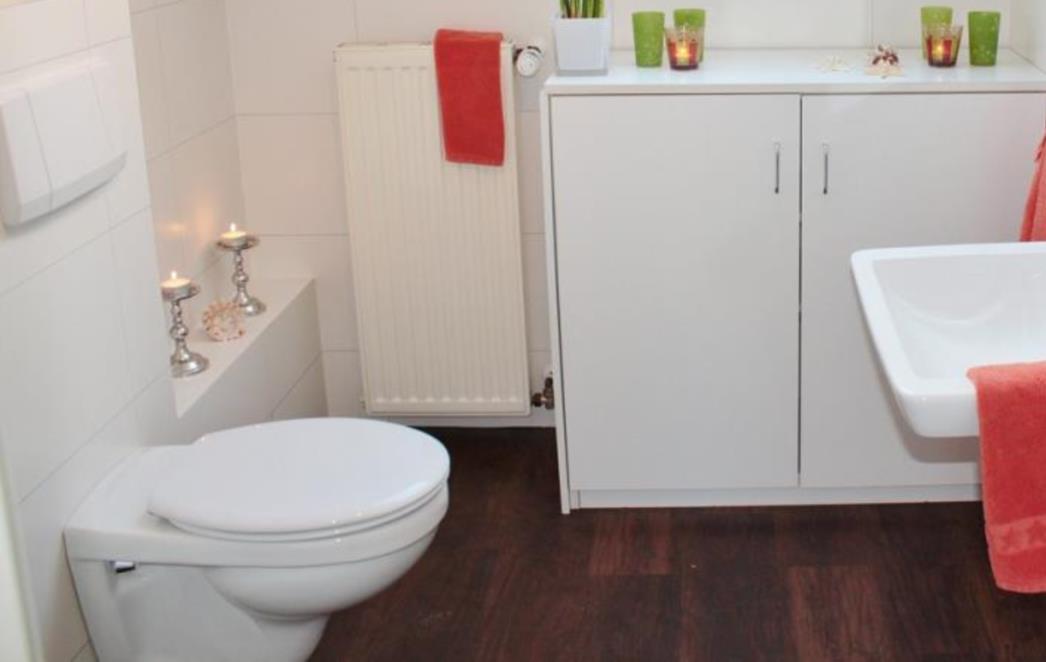 MOGU SE POJAVITI PROBLEMI Ove stvari nemojte bacati u WC školjku