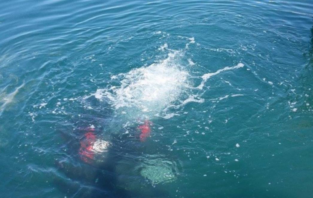 Svih 113 plaža prošlo i na četvrtom ispitivanju kakvoće  mora