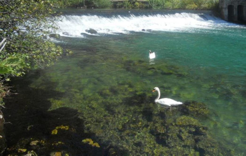 Je li se dogodio ekocid na Ombli? (FOTO)