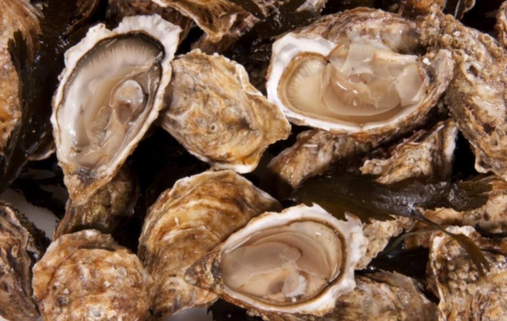 Uključite ih u prehranu: Pet namirnica za odličan vid