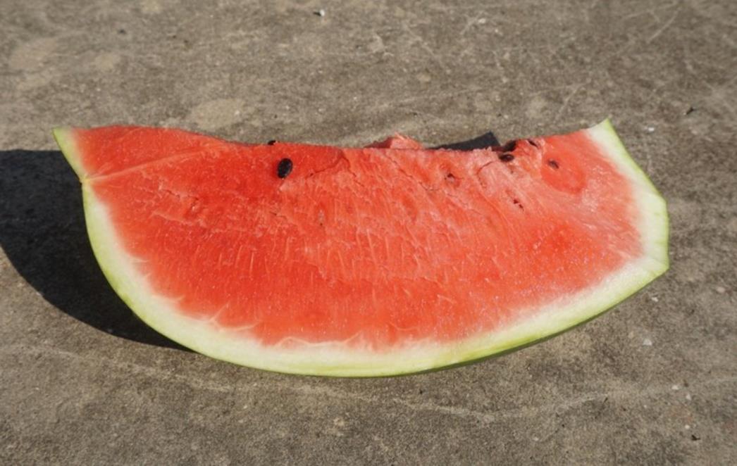 SAVRŠENA DINJA Ovo su načini kako je odabrati