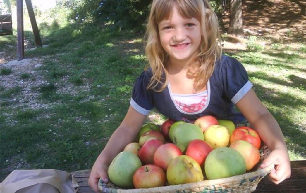 Izabrani najbolji likovni radovi uz Dan jabuke