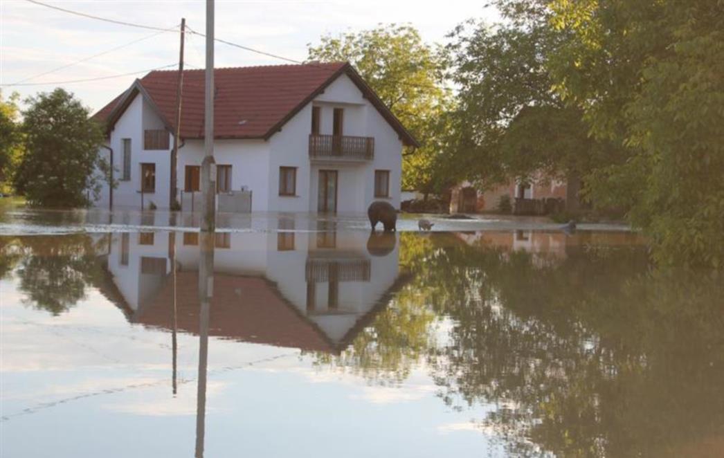 NOVI PROBLEMI: Simptomi zaraznih bolesti koje se mogu pojaviti nakon poplava