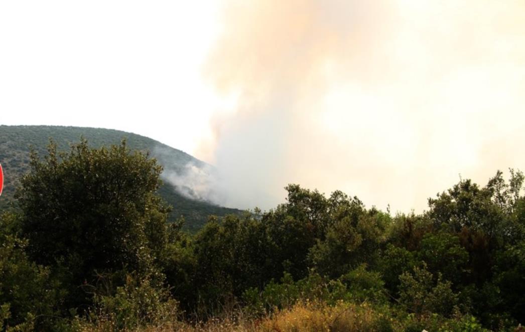DVA POŽARA Zapalila se šuma na Korčuli, gorjeli kontejneri u Malom Stonu
