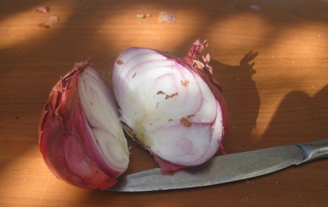 NARODNE MUDROSTI, MITOVI I LEGENDE kako zaustaviti suze koje izaziva sjeckanje luka?