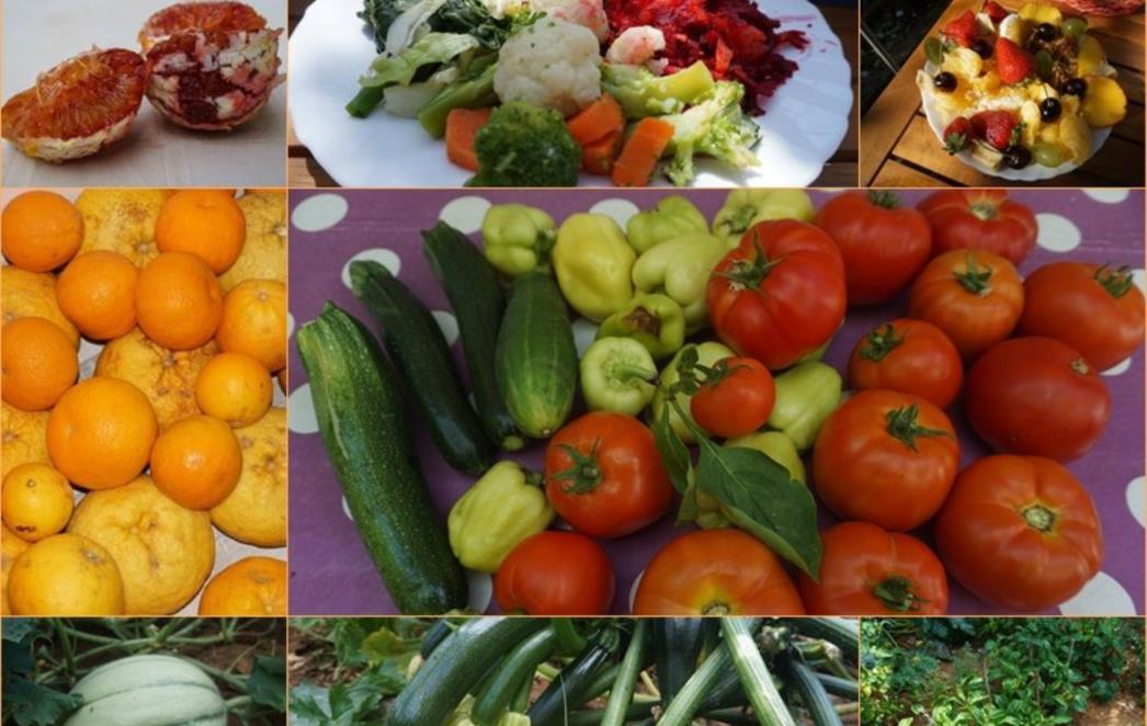 ZDRAVLJE  U  ŠAROLIKIM  PLODOVIMA  MEDITERANA  Budite  zdravi  i   lijepi  pomoću   namirnica  iz   vlastitog   vrta