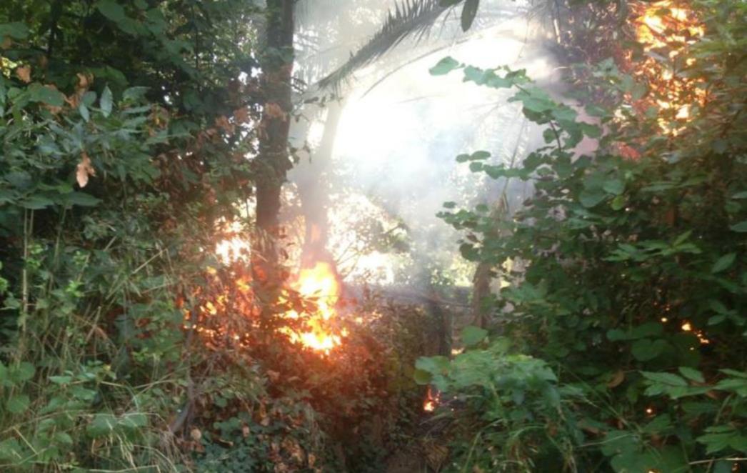 GORILO U DUBROVNIKU: Požar kod Hotela Jadran 