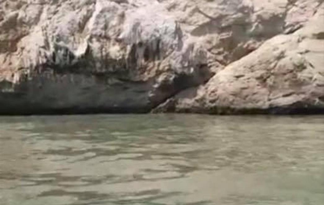 FEKALIJE KOD PETKE Iz Vodovoda kažu da provode istraživanja što je prouzrokovalo trenutnu situaciju (VIDEO)
