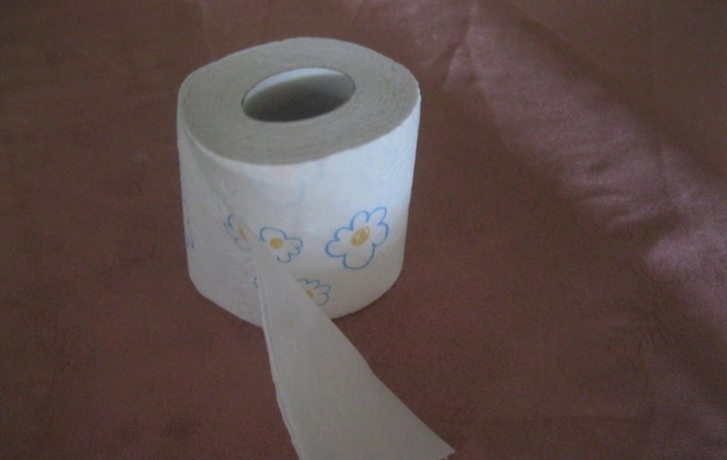 ŽIVOT PRIJE WC PAPIRA Evo što su sve ljudi koristili prije najtraženijih listića