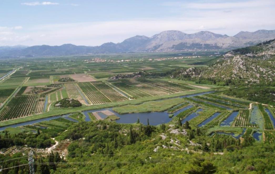 U DOLINI NERETVE ŠOKIRANI ODLUKOM: Na bubnju 800 hektara nasada mandarina i oranica
