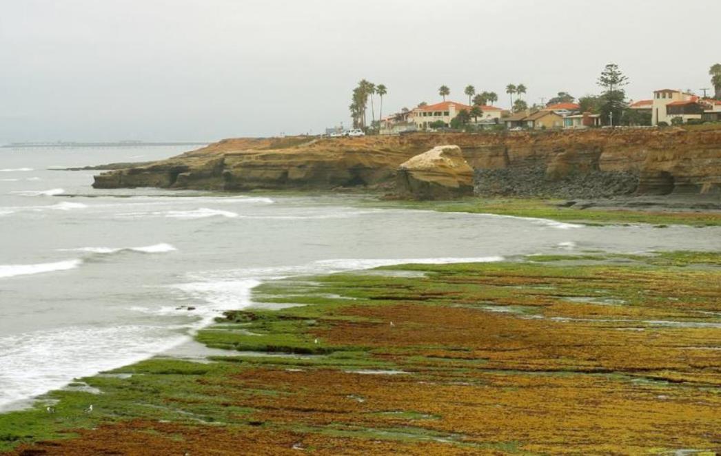 Ono što se nije usudio ni Sanader, čini nova Vlada: Kreću u rasprodaju obale!