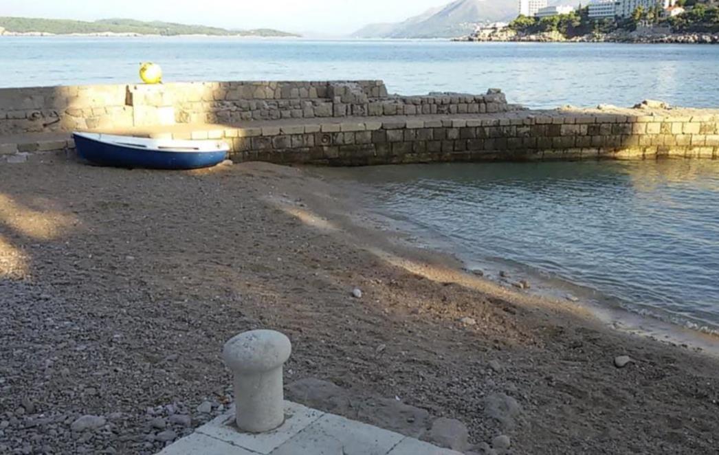 Mala plava pjatačka, koju je iz mora izvukao Igor Legaz, pronašla dom