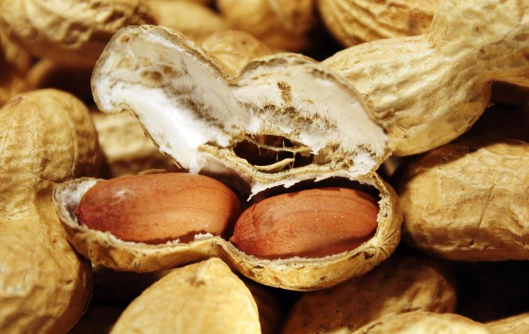 NIJE PROBLEM SAMO U MESU Sa trgovačkih polica povlači se i kikiriki u ljusci