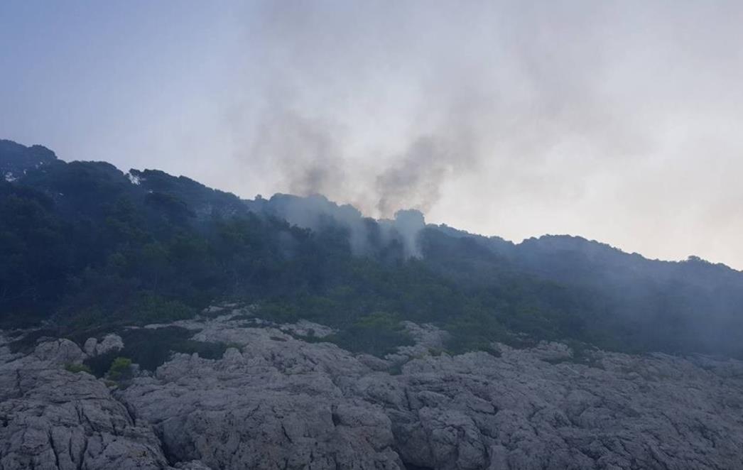 UDAR GROMA Zapalila se šuma na Jakljanu, vatrogasci u akciji