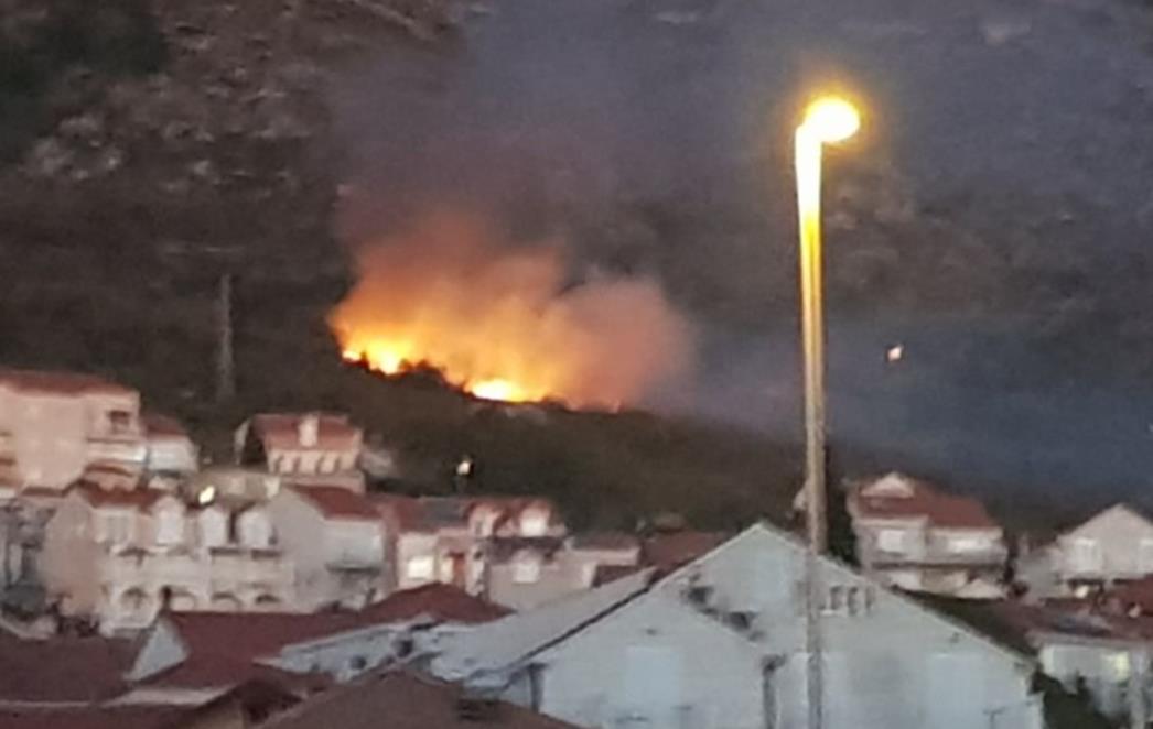 OPREZ! Gorilo u Župi poviše Srebrenoga