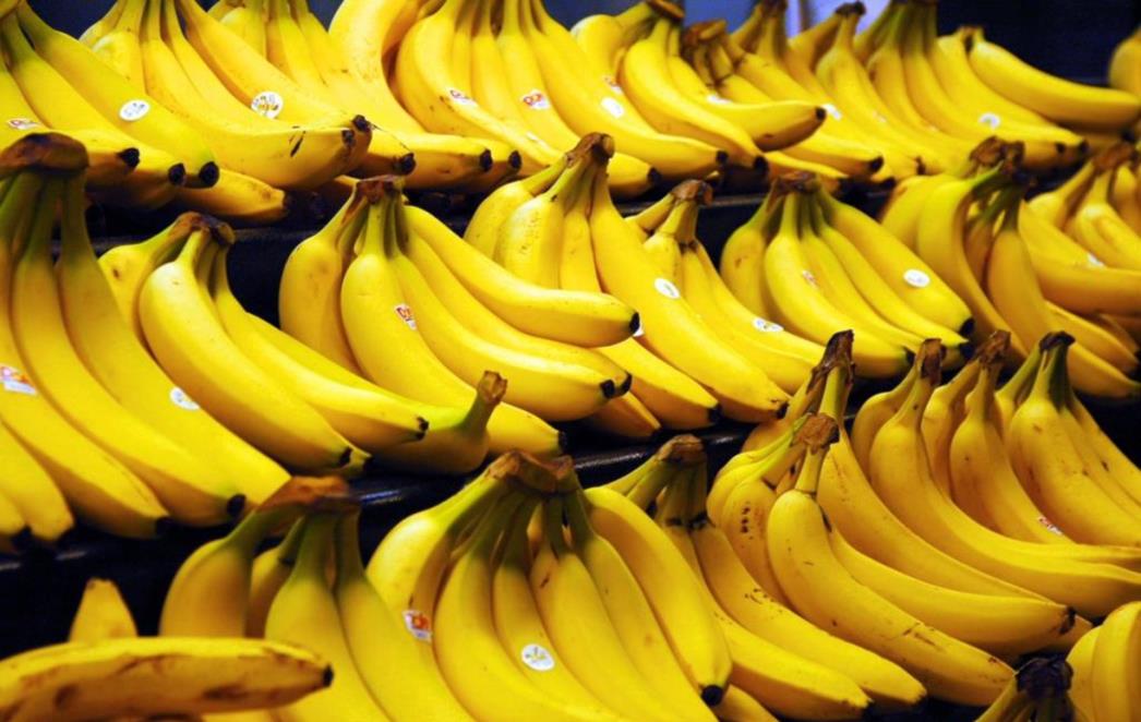 PRIJETI IM TOTALNO UNIŠTENJE: Banane bi mogle nestati za 5 do 10 godina