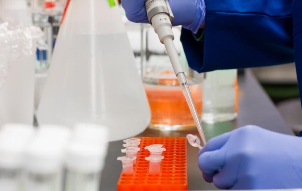 U Kini se pojavio novi soj virusa svinjske gripe koji ima potencijal pandemije