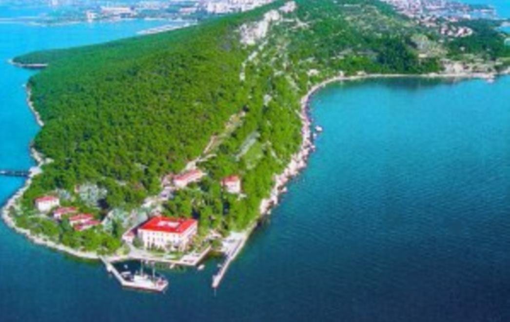  Policija "stišće" brata nestale Meksikanke