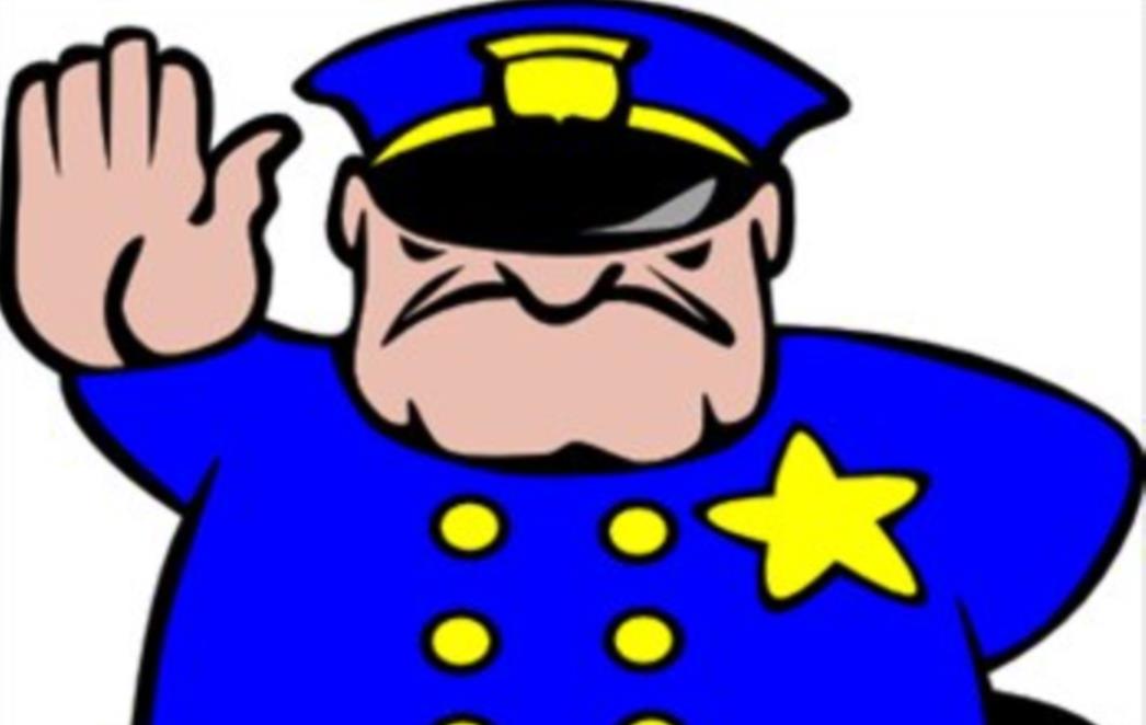 VIC DANA:Mujo i policajac