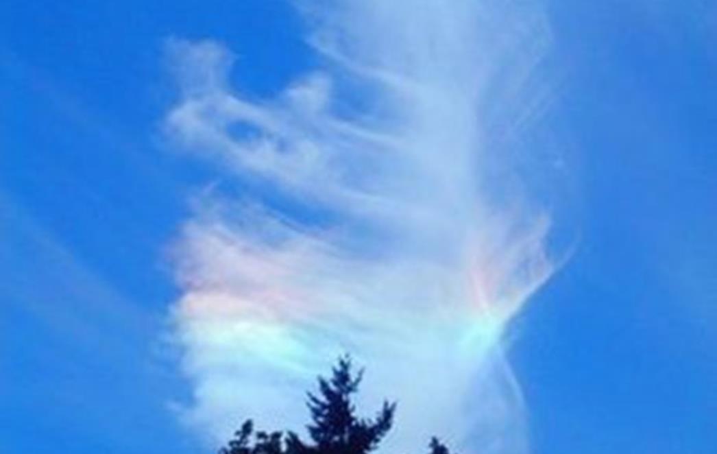 Nepoznate letjelice raspršuju chemtrailse?