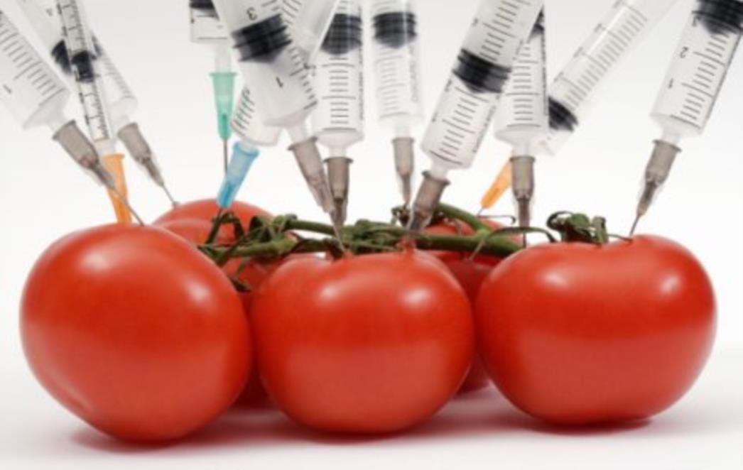 Stiže nova generacija GMO-a, posljedice za ljudsku populaciju smrtonosne!