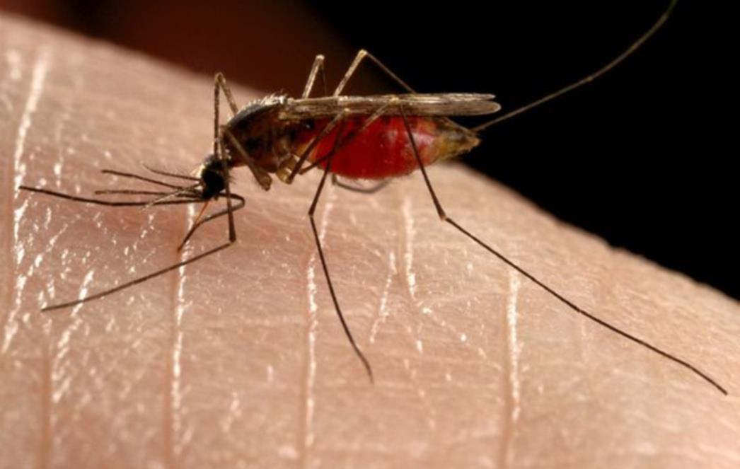 Nova smrtonosna bolest pokucala na vrata: Američki AIDS