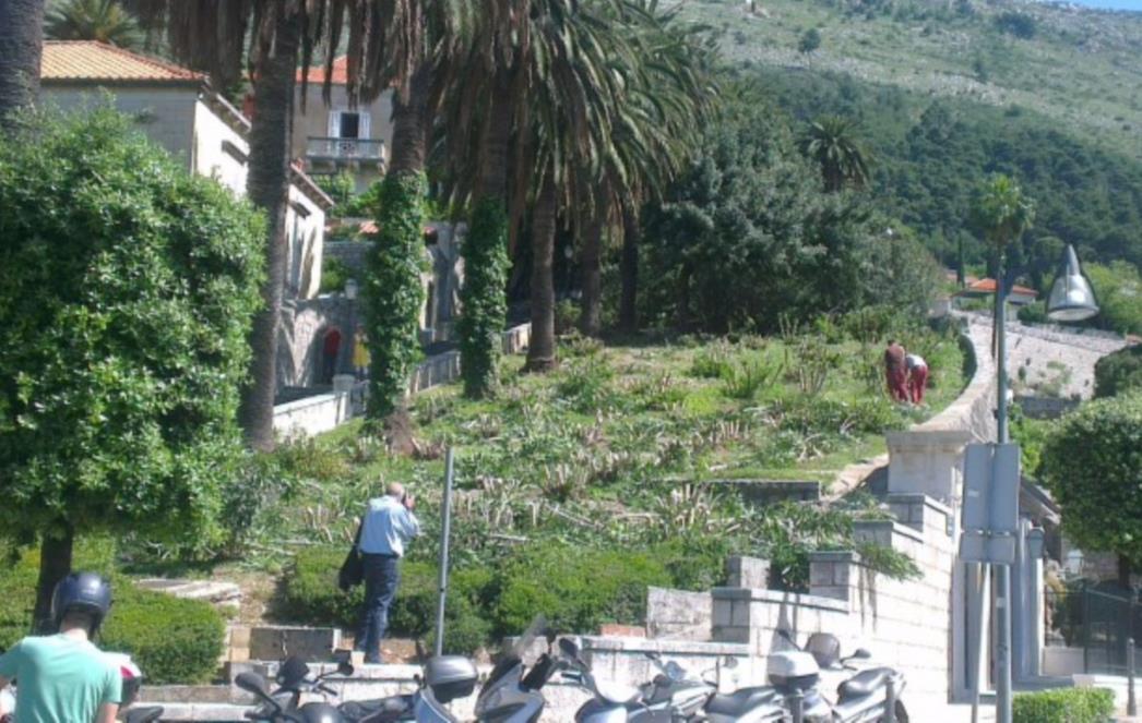 'Vrtlar' preuzeo odgovornost za sječu oleandera Uz Posat