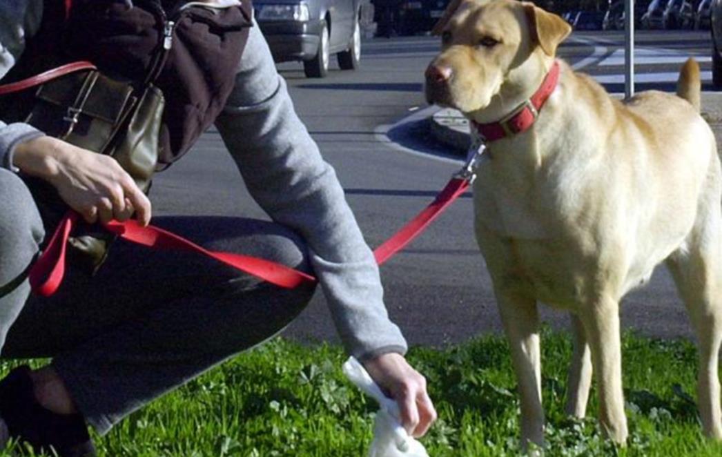 GRAD KAŽNJAVA NEODGOVORNE VLASNIKE PASA: Evo što će se od sutra naplaćivati!