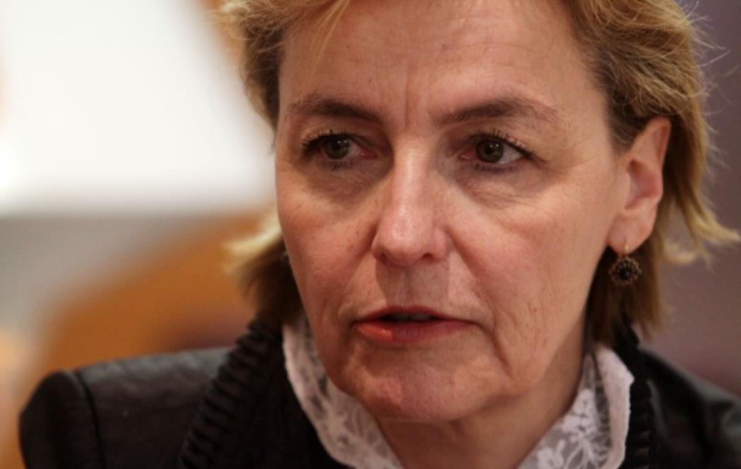 Kovač: Vidjeli smo da teroristi ne lete  biznis klasom, kako je govorila Vesna Pusić