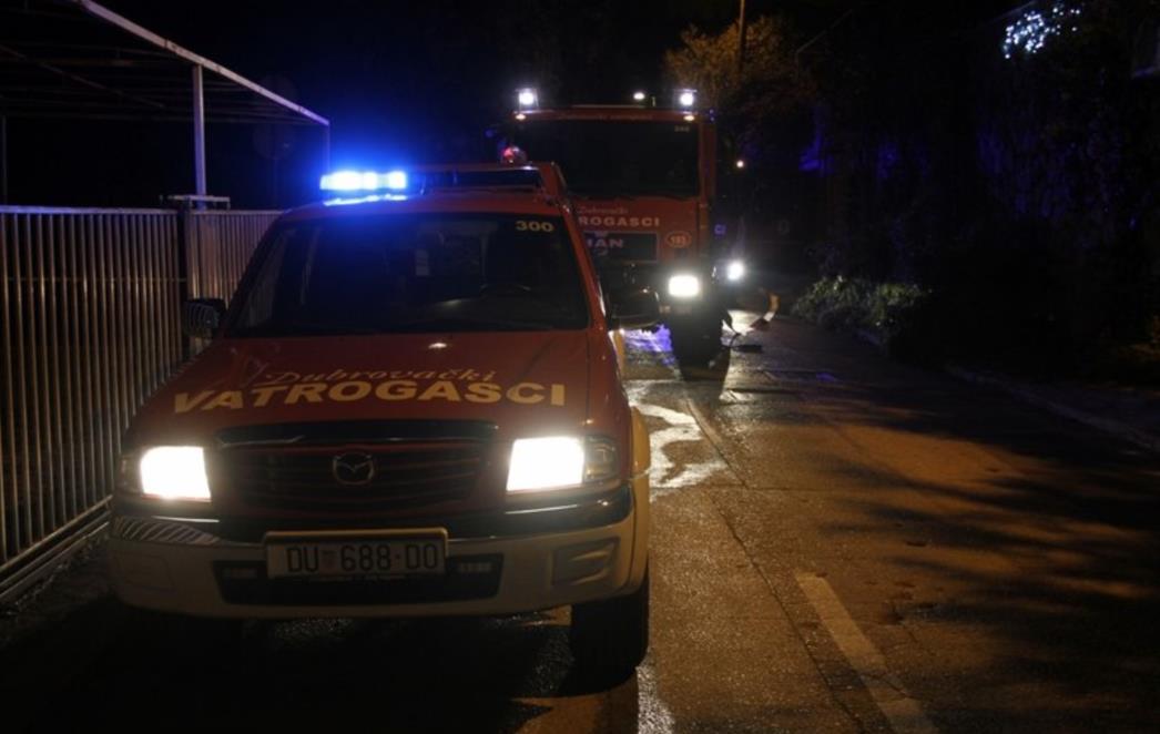 INTERVENIRALI VATROGASCI Zapalio se vrt ispred obiteljske kuće