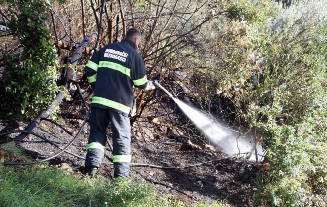 Vatrogasci ekspresno reagirali nakon dojave o požaru kod Vrbice