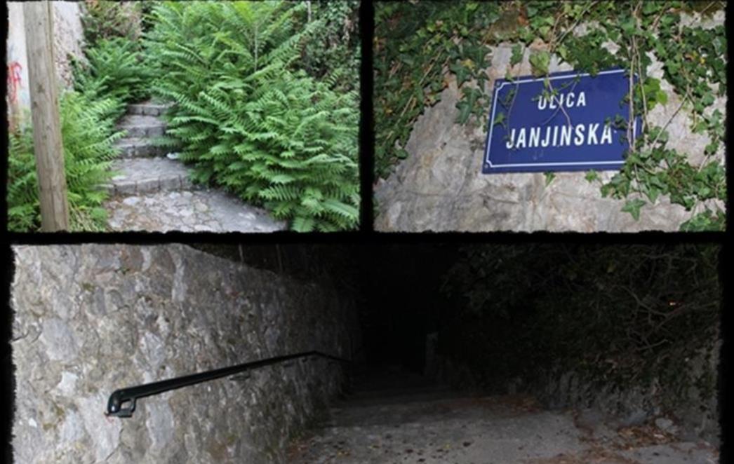 WELCOME TO DUBROVNIK: Strava u Ulici Janjinskoj (FOTOGALERIJA)